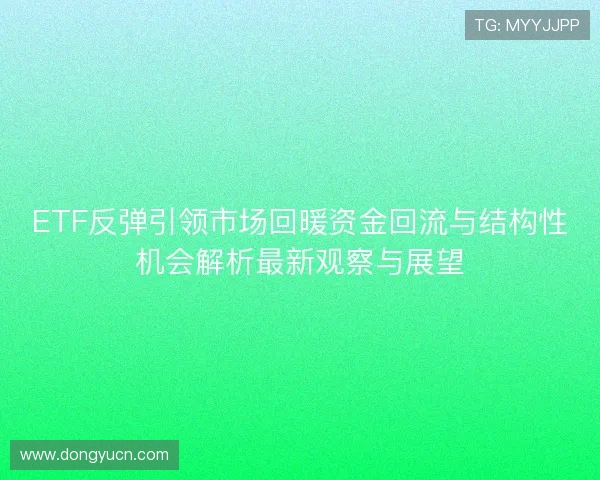 ETF反弹引领市场回暖资金回流与结构性机会解析最新观察与展望